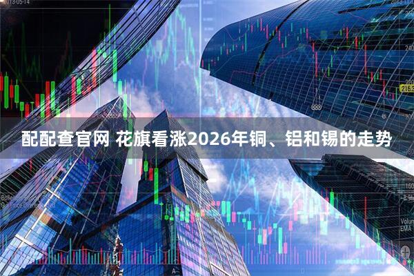 配配查官网 花旗看涨2026年铜、铝和锡的走势